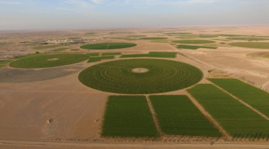 Temporary Labour Transfer Facility for Dhofar’s Najd Farmers: Key Benefits for Agricultural Businesses in Oman