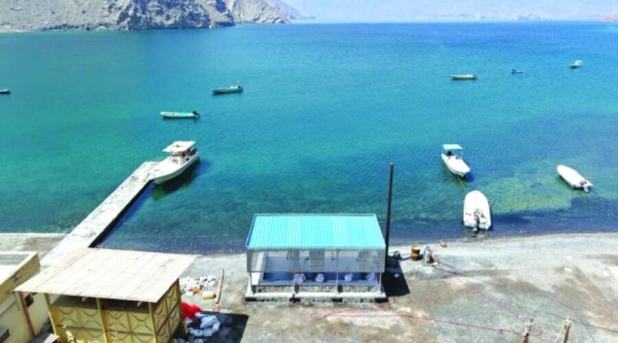 Upgraded Musandam Fishing Sites: What This Means for Business Opportunities and Investment in Oman’s Seafood Industry