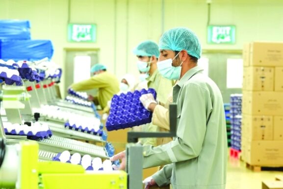 Al Dhahirah Food Investments Soar to RO 84 Million: What This Means for Business Growth and Opportunities in Oman