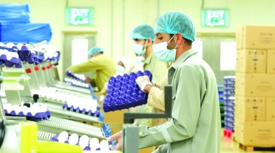Al Dhahirah Food Investments Soar to RO 84 Million: What This Means for Business Growth and Opportunities in Oman